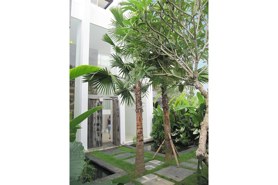 Canggu House, Bali