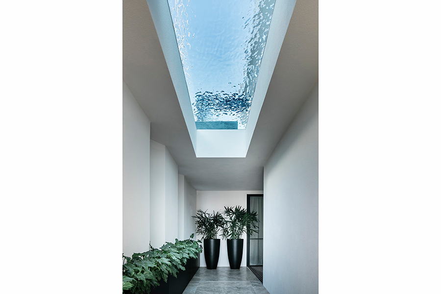 Shandford Avenue, Brighton