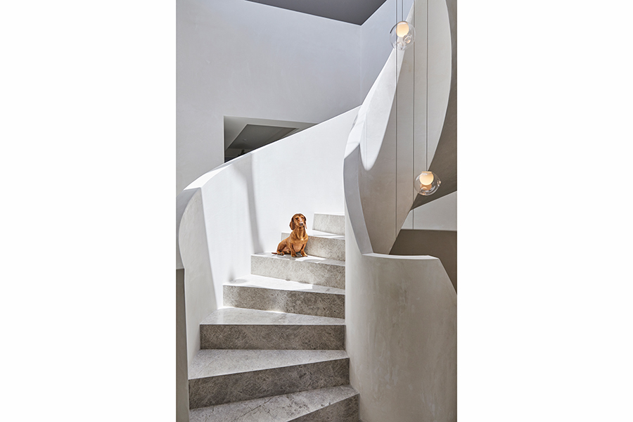 Shandford Avenue, Brighton